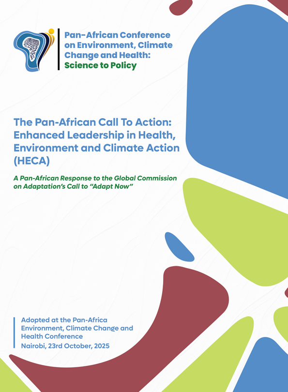 Pan-African Declaration